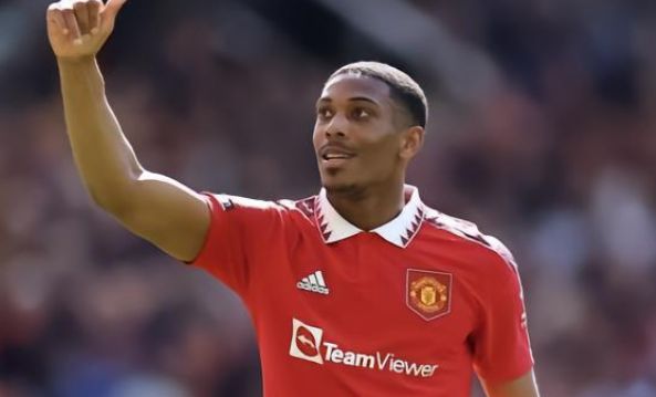 会感到疑惑 会感到疑惑